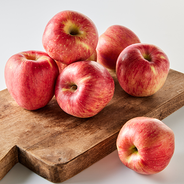 양양 게시판 테스트 입니다. 이미지