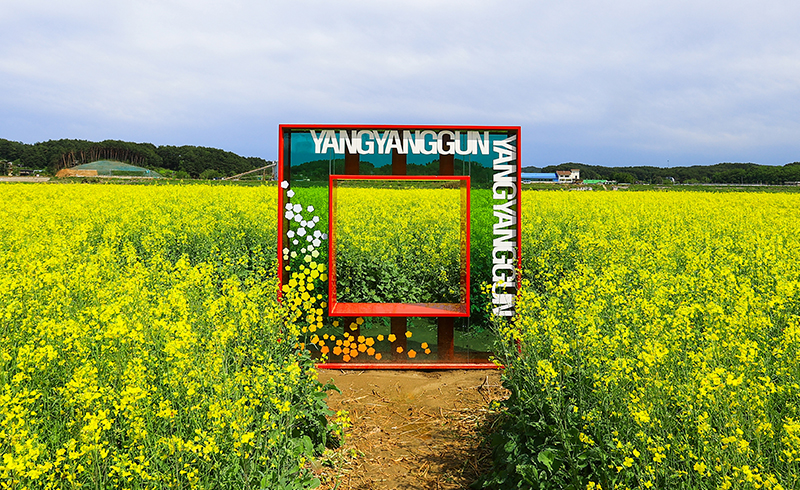 양양군 신활력플러스사업 설명 이미지